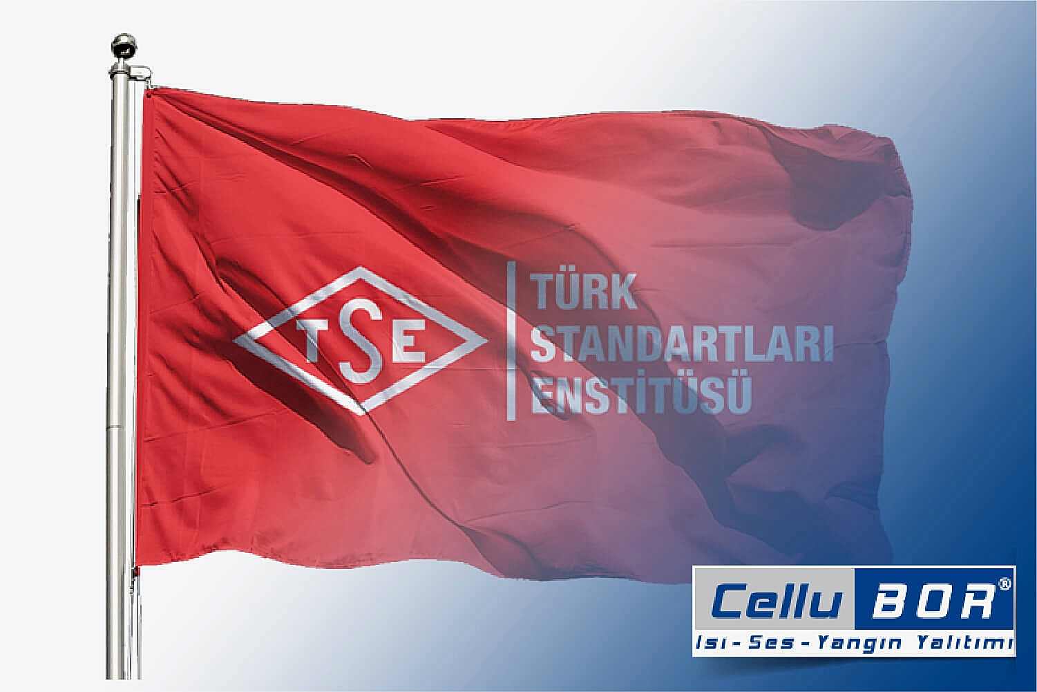 TSE Belgesi Nedir? Neleri Kapsar?
