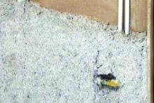 CelluBOR Spray 